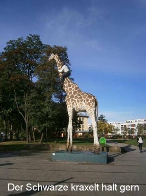 hornoxe.com_picdump243_153