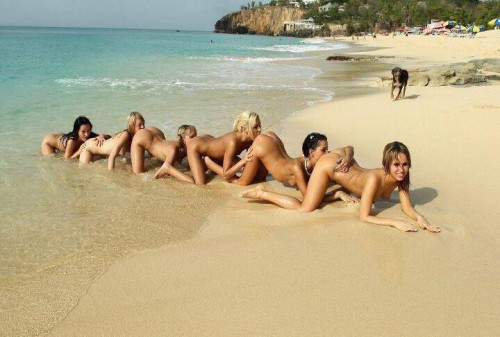 hornoxe.com_picdump243_157