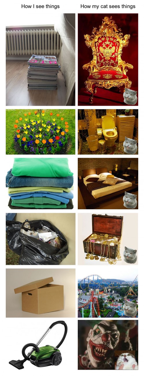 hornoxe.com_picdump244_048