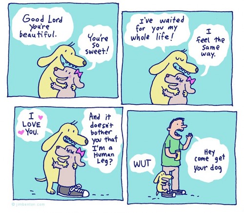 hornoxe.com_picdump244_058