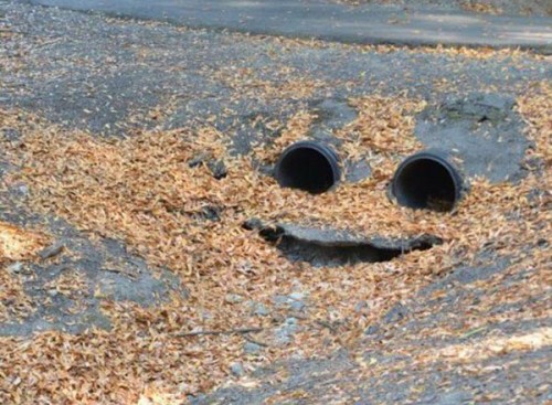 hornoxe.com_picdump244_066