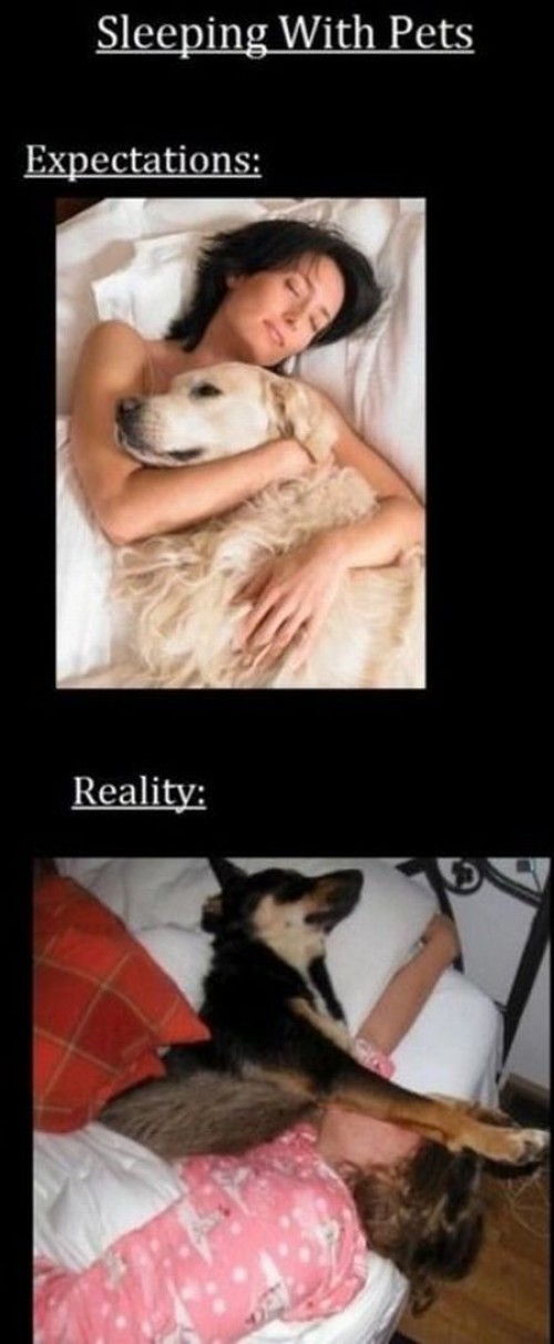 hornoxe.com_picdump244_096