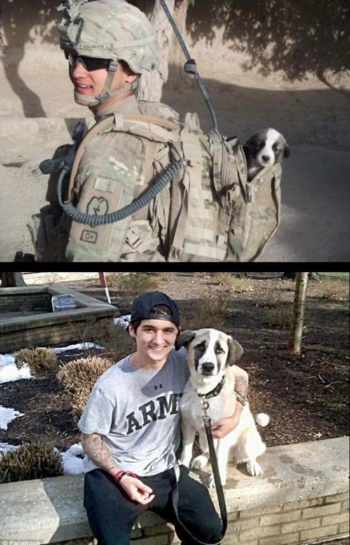 hornoxe.com_picdump244_100