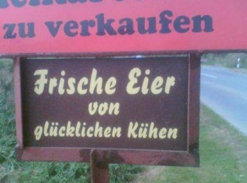 hornoxe.com_picdump244_141