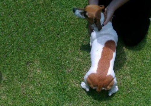 hornoxe.com_picdump244_149