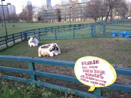 hornoxe.com_picdump245_008