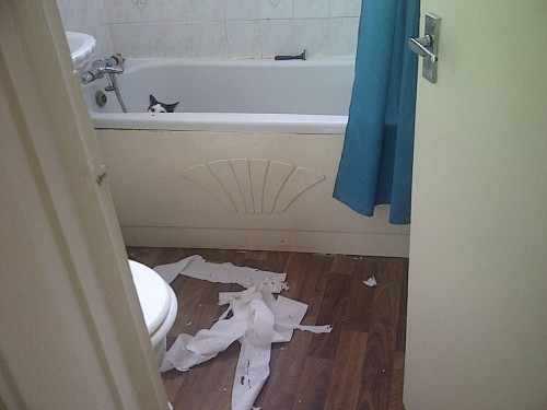 hornoxe.com_picdump245_070