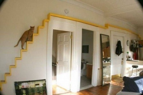 hornoxe.com_picdump245_090