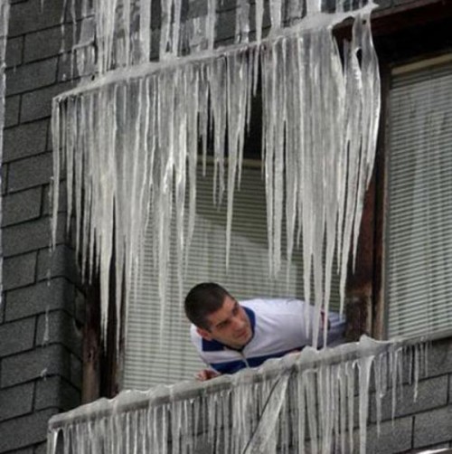 hornoxe.com_picdump245_109