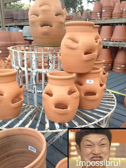 hornoxe.com_picdump245_122