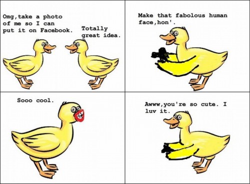 hornoxe.com_picdump245_127