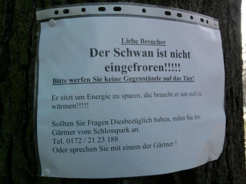 hornoxe.com_picdump245_140