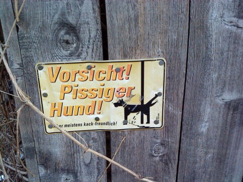 hornoxe.com_picdump246_036