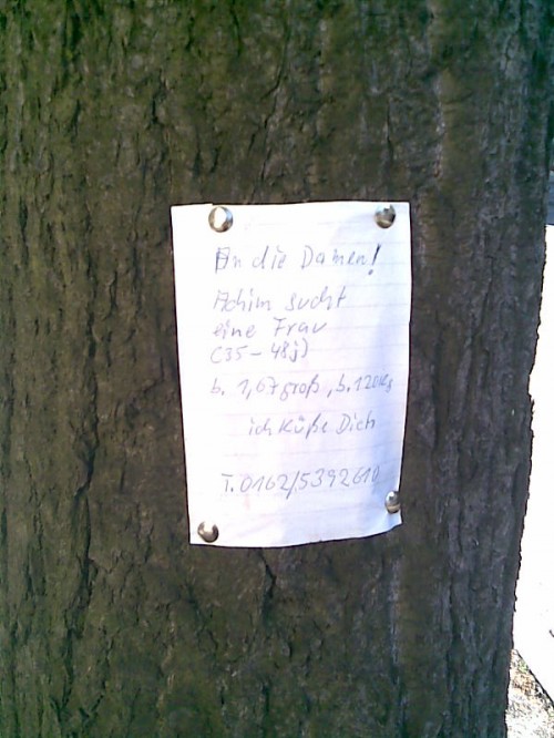 hornoxe.com_picdump246_076