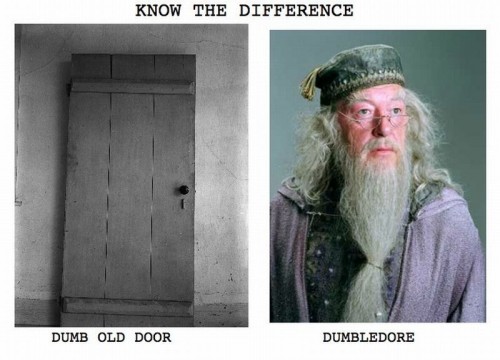 hornoxe.com_picdump246_091