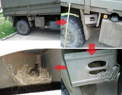 hornoxe.com_picdump246_100