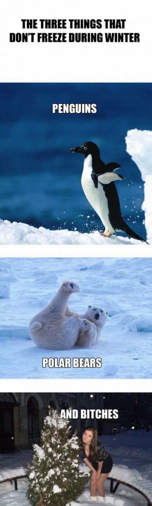 hornoxe.com_picdump246_111