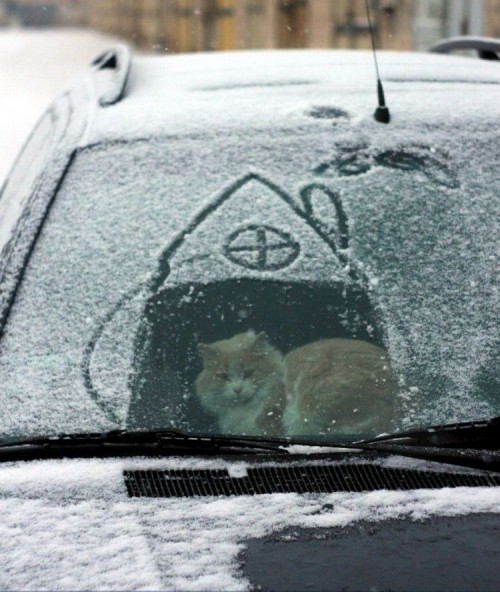 hornoxe.com_picdump246_122