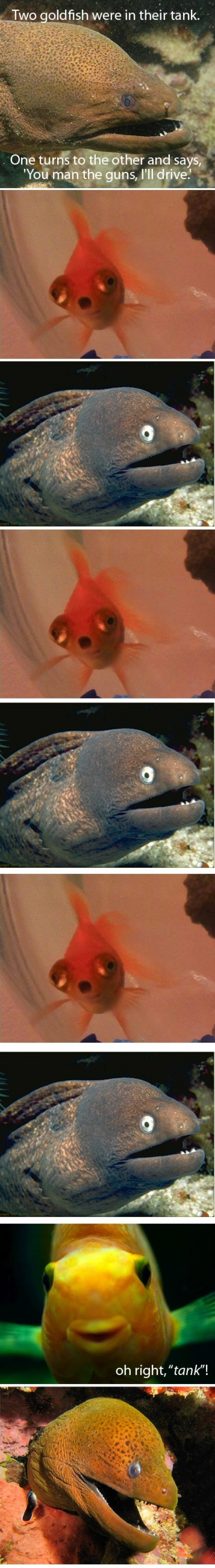 hornoxe.com_picdump246_132