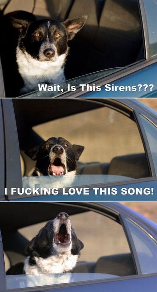 hornoxe.com_picdump247_106