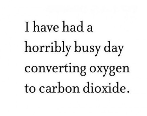 hornoxe.com_picdump247_146