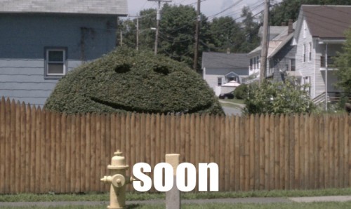 hornoxe.com_picdump248_003