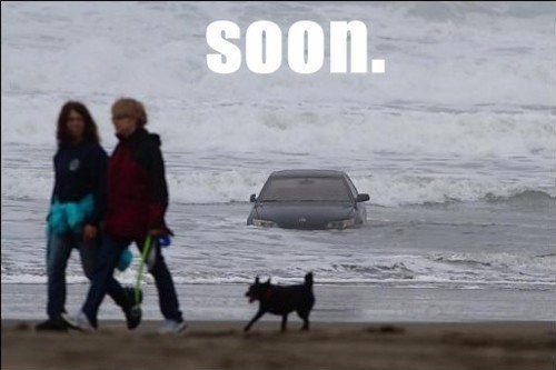 hornoxe.com_picdump248_004