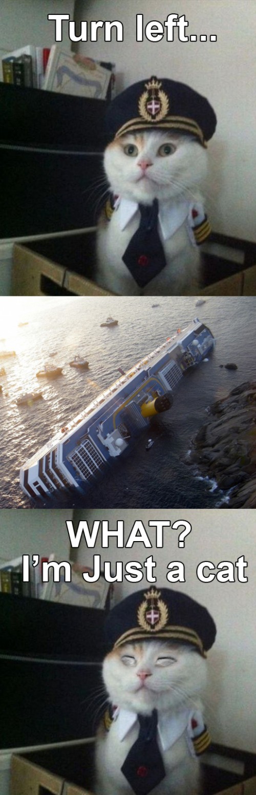 hornoxe.com_picdump248_017