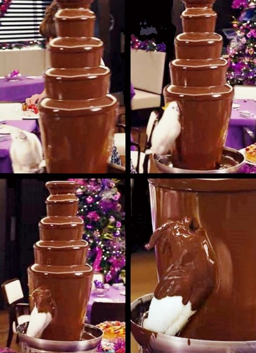 hornoxe.com_picdump248_019