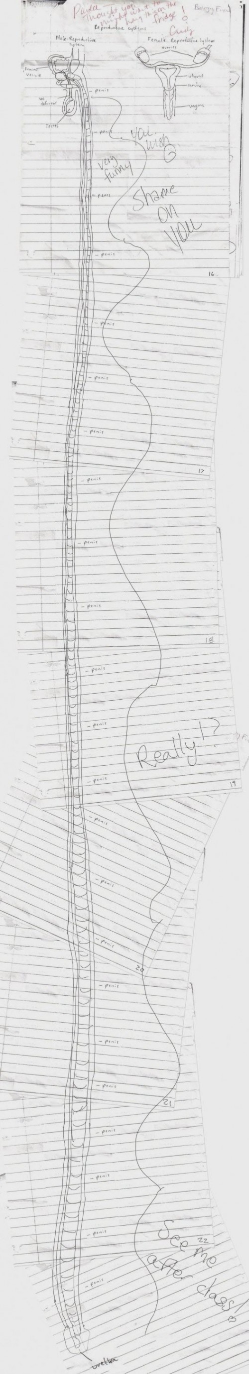 hornoxe.com_picdump248_060