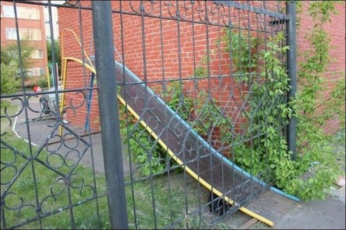 hornoxe.com_picdump248_074