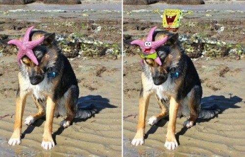 hornoxe.com_picdump248_076