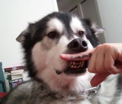 hornoxe.com_picdump248_085