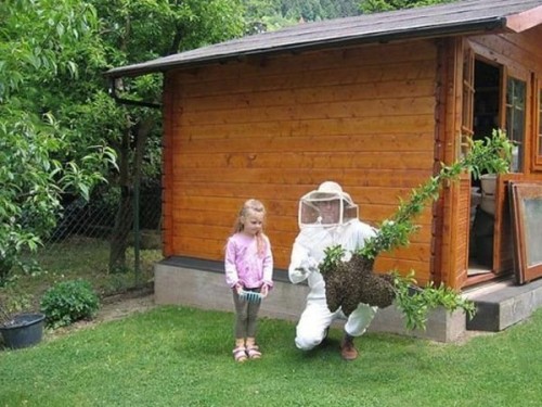 hornoxe.com_picdump248_119