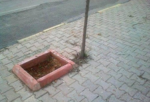 hornoxe.com_picdump248_120