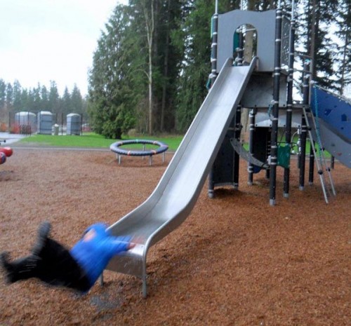 hornoxe.com_picdump248_138