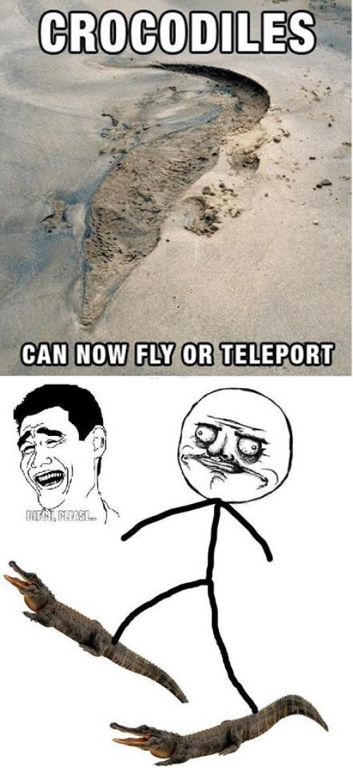 hornoxe.com_picdump248_175