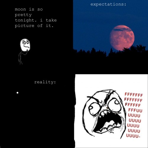 hornoxe.com_picdump248_182