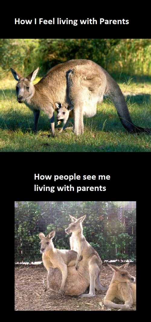 hornoxe.com_picdump249_026