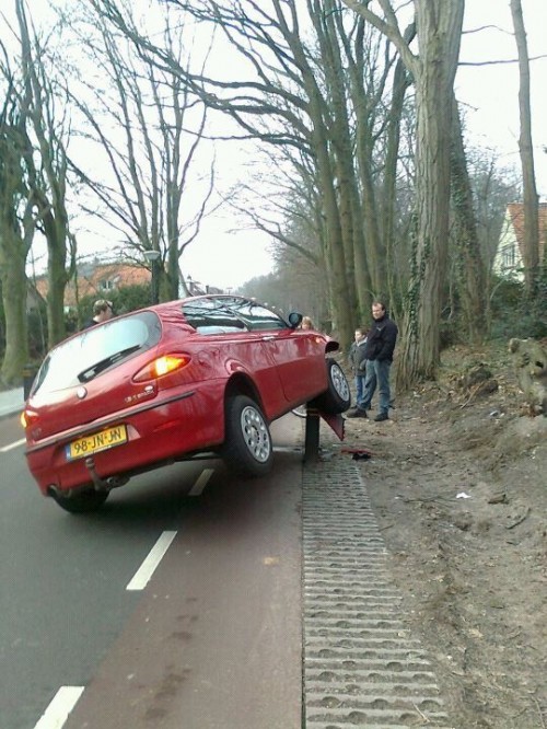 hornoxe.com_picdump249_030