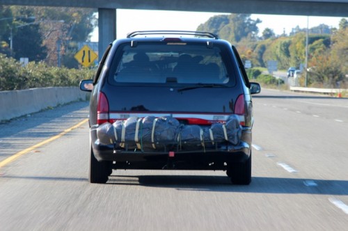 hornoxe.com_picdump249_032