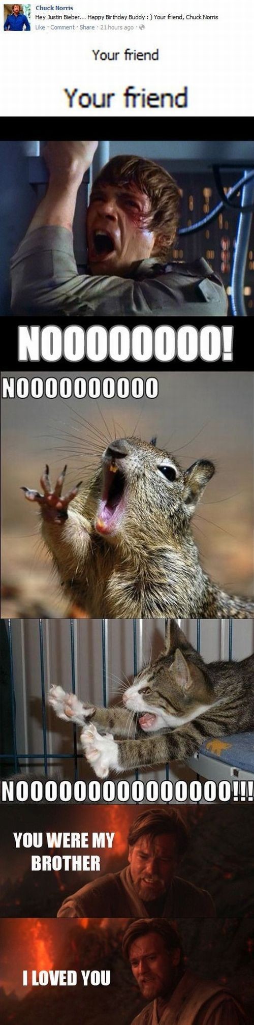 hornoxe.com_picdump249_072