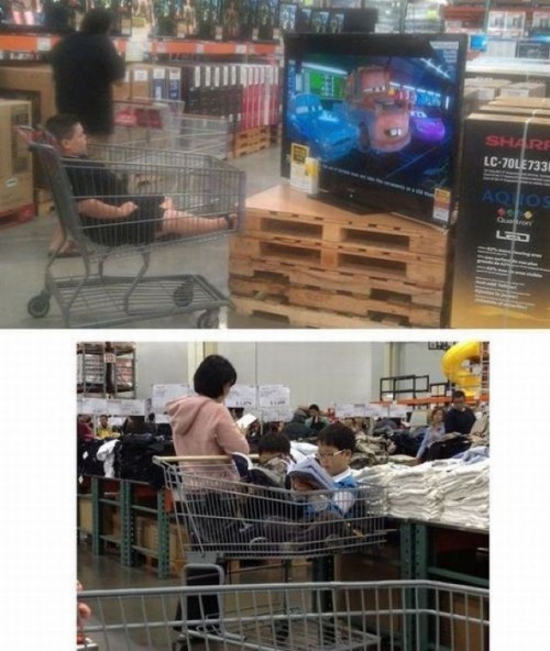 hornoxe.com_picdump249_089