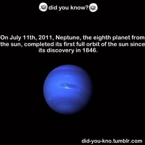 hornoxe.com_picdump249_091