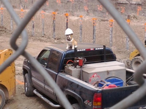 hornoxe.com_picdump249_112