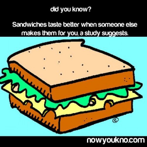 hornoxe.com_picdump249_138