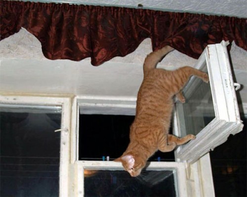 hornoxe.com_picdump249_153