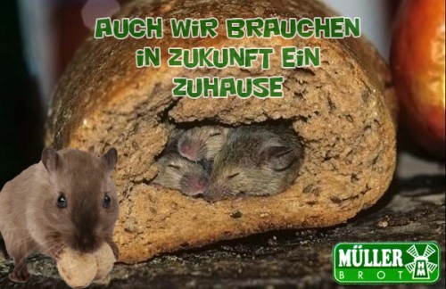 hornoxe.com_picdump249_159