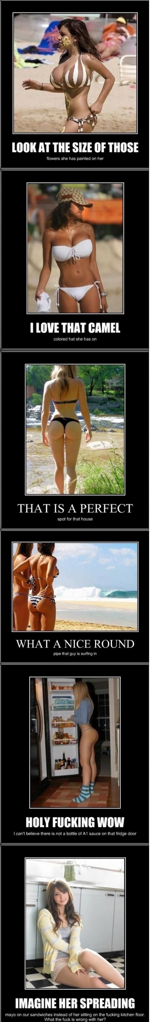 hornoxe.com_picdump250_007