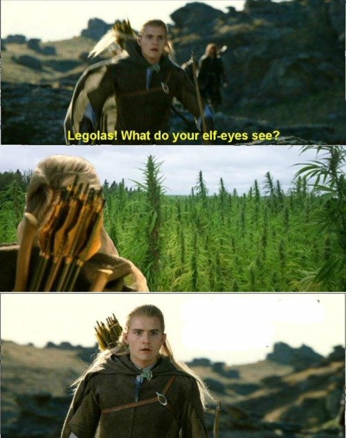 hornoxe.com_picdump250_011